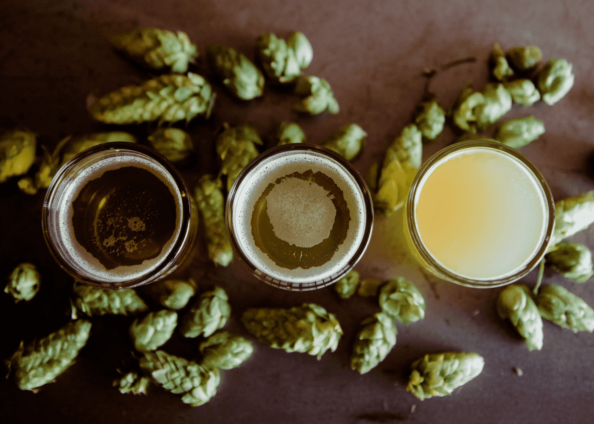 Beer Glasses
