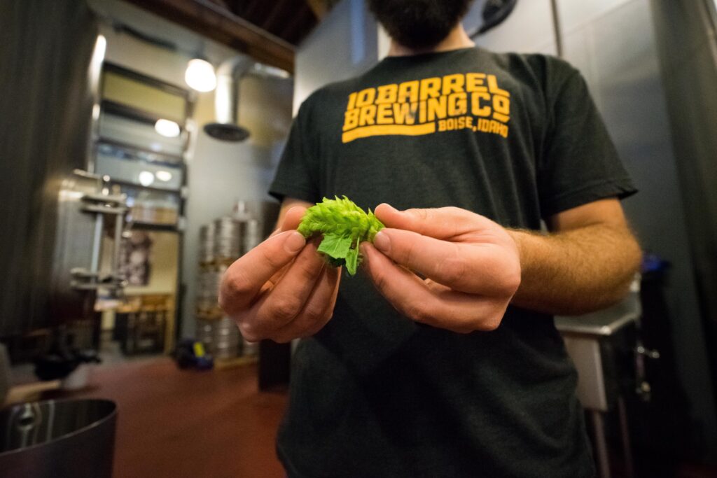 brewery-sustainability-hacks